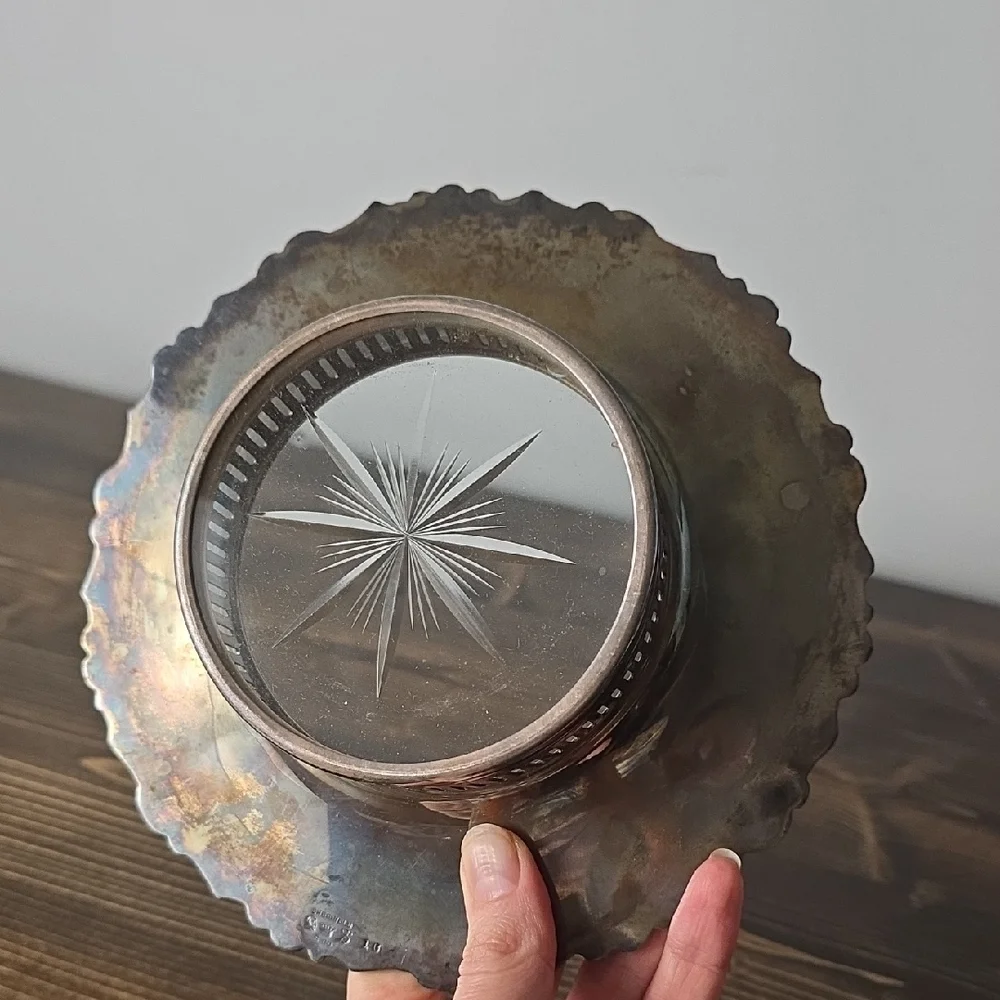 Elegant Silver‎ Decorative Plate